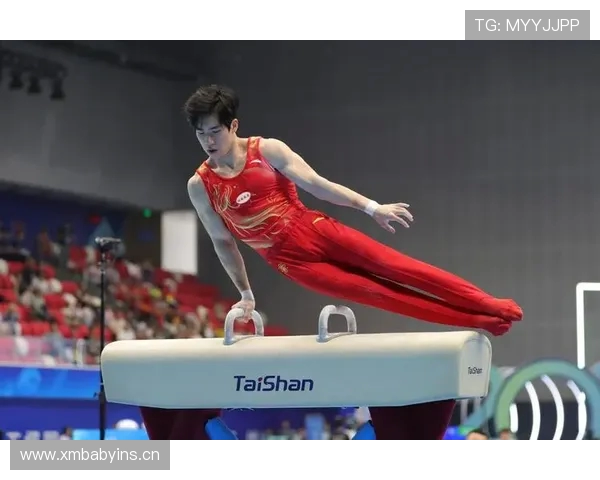 张博恒谈对体操艺术的全面解